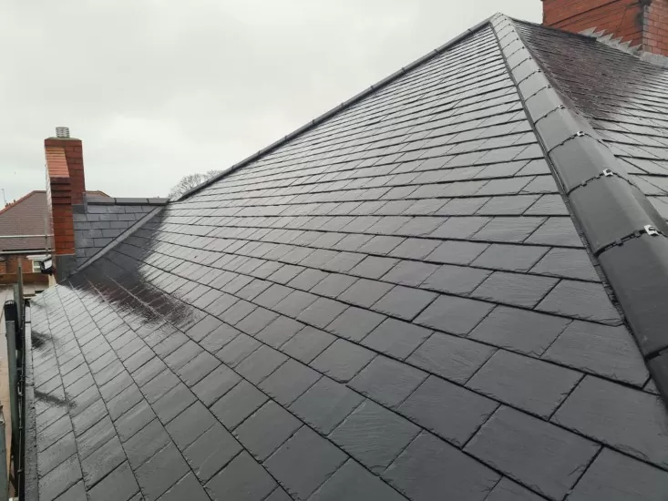 Dakwerken Image NR.1